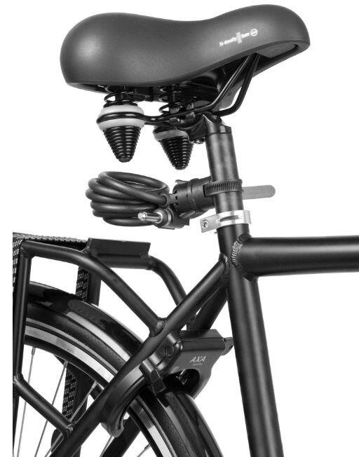 Câble plug-in AXA Newton 180 cm, 10 mm 3/3