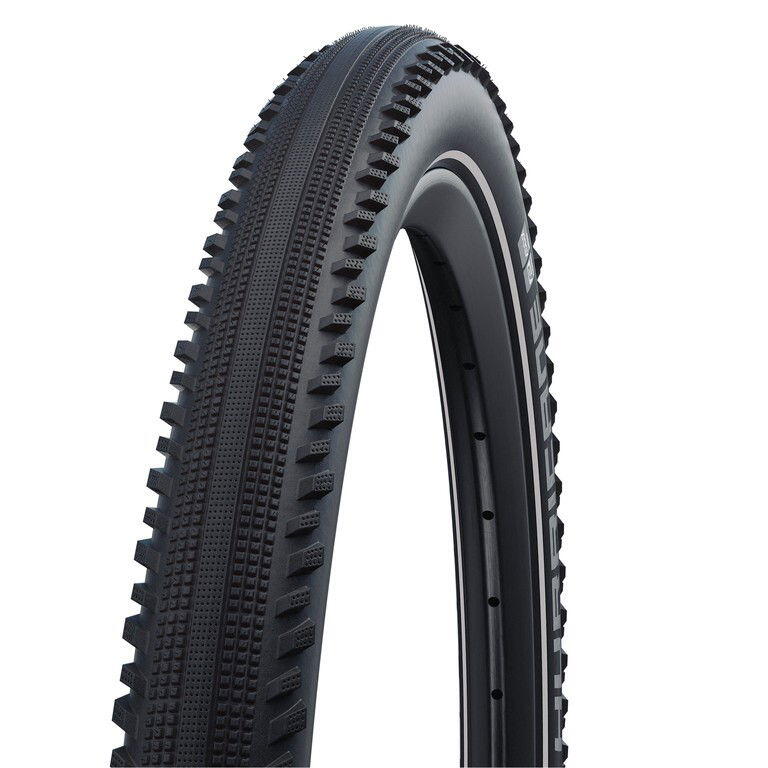 SCHWALBE picture