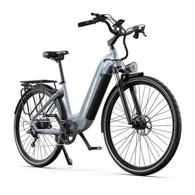 Elektrische fiets onesport ot05 pro 250w motor, 36v 22,5ah accu