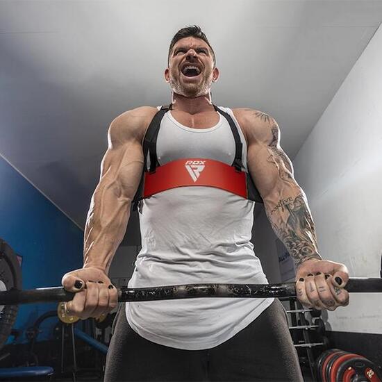 RDX T2 Plus Arm Blaster für Bizeps-Curls