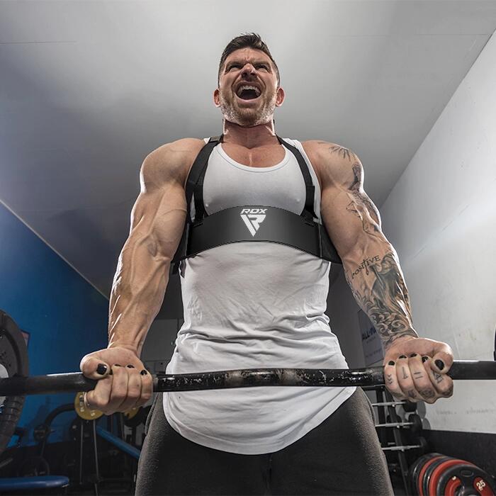 RDX T2 Plus Arm Blaster für Bizeps-Curls 2/4