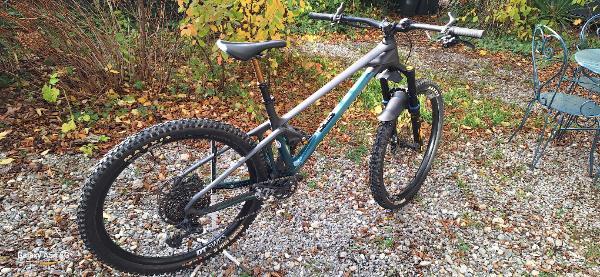 MONDRAKER picture