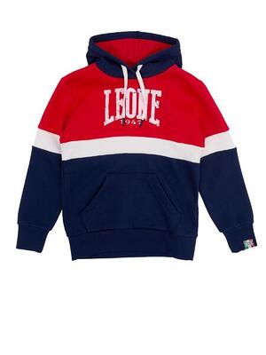 Felpe con cappuccio Leone bambino big logo Grey Boy