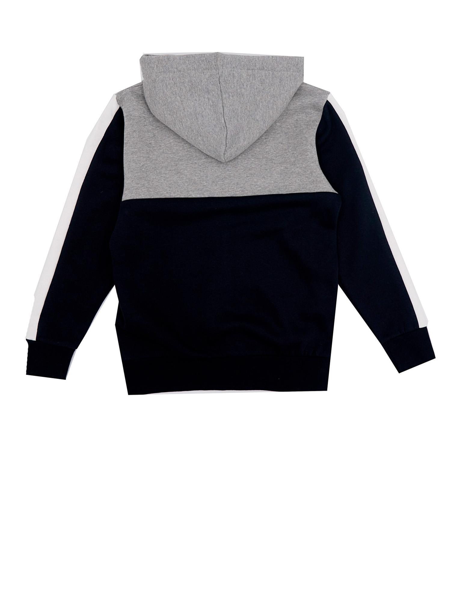 Felpa con cappuccio Leone bambino Grey Boy 2/4