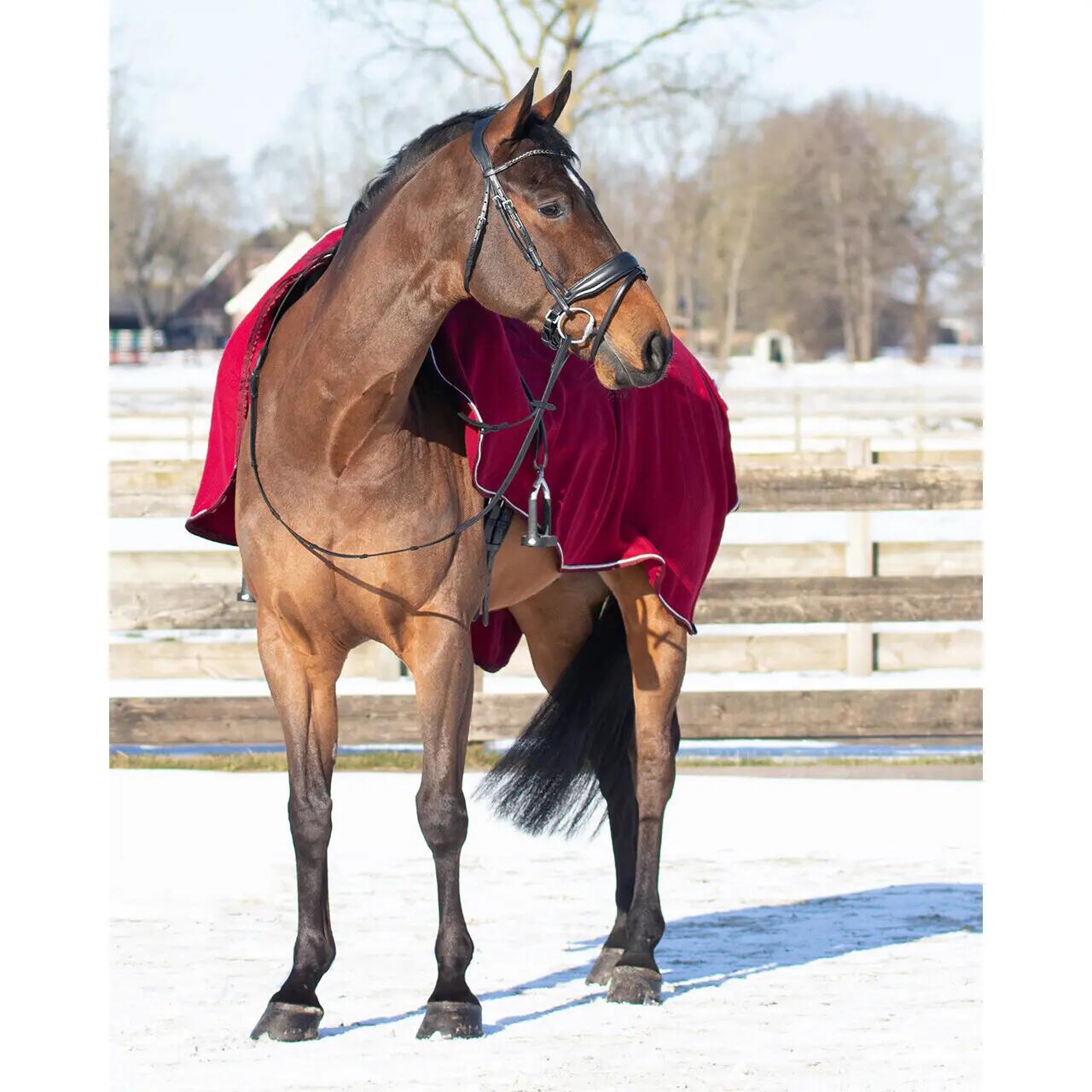 Couvre-reins pour cheval polaire QHP Ornament 2/3