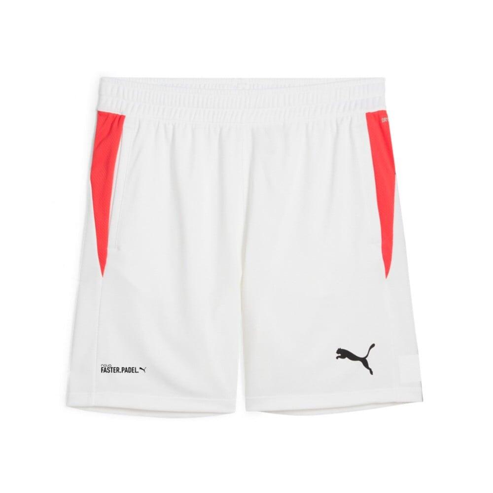 PUMA picture