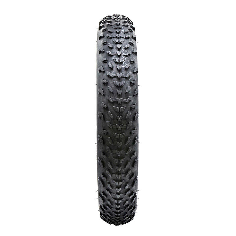 Neumático 20x4 Ewheel ESPECIAL FAT-BIKE 4/4