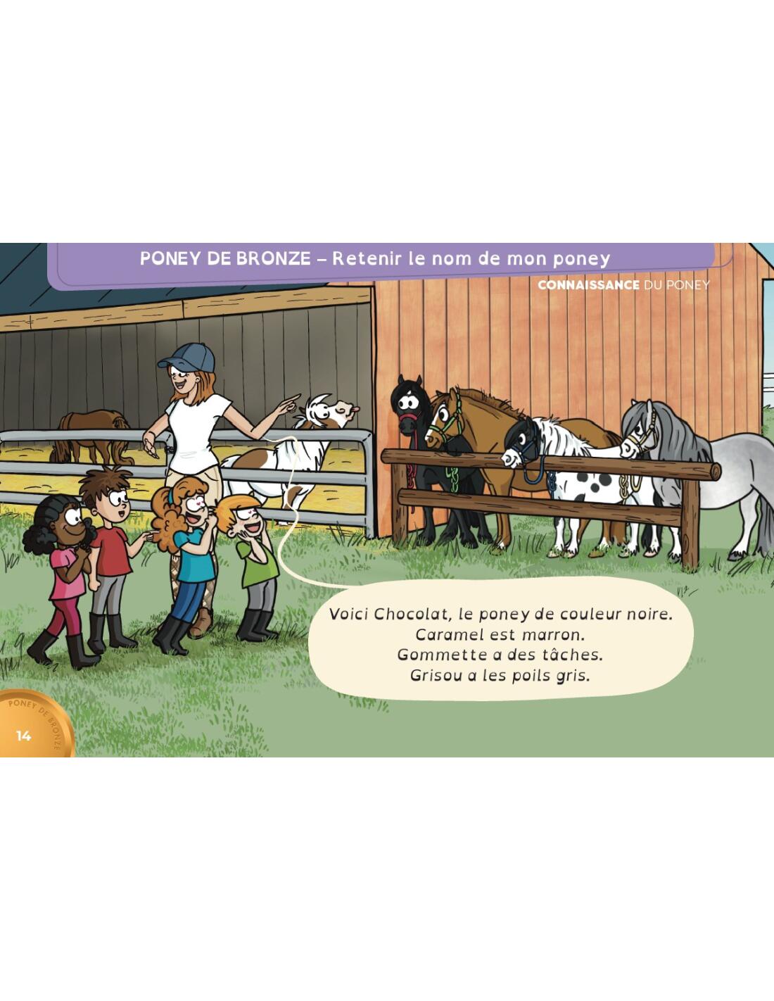 En selle vers les poneys de bronze, d'argent et d'or 6/7
