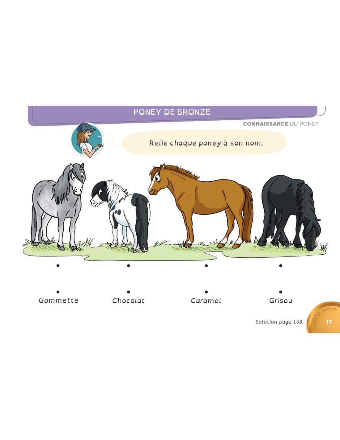 En selle vers les poneys de bronze, d'argent et d'or 7/7