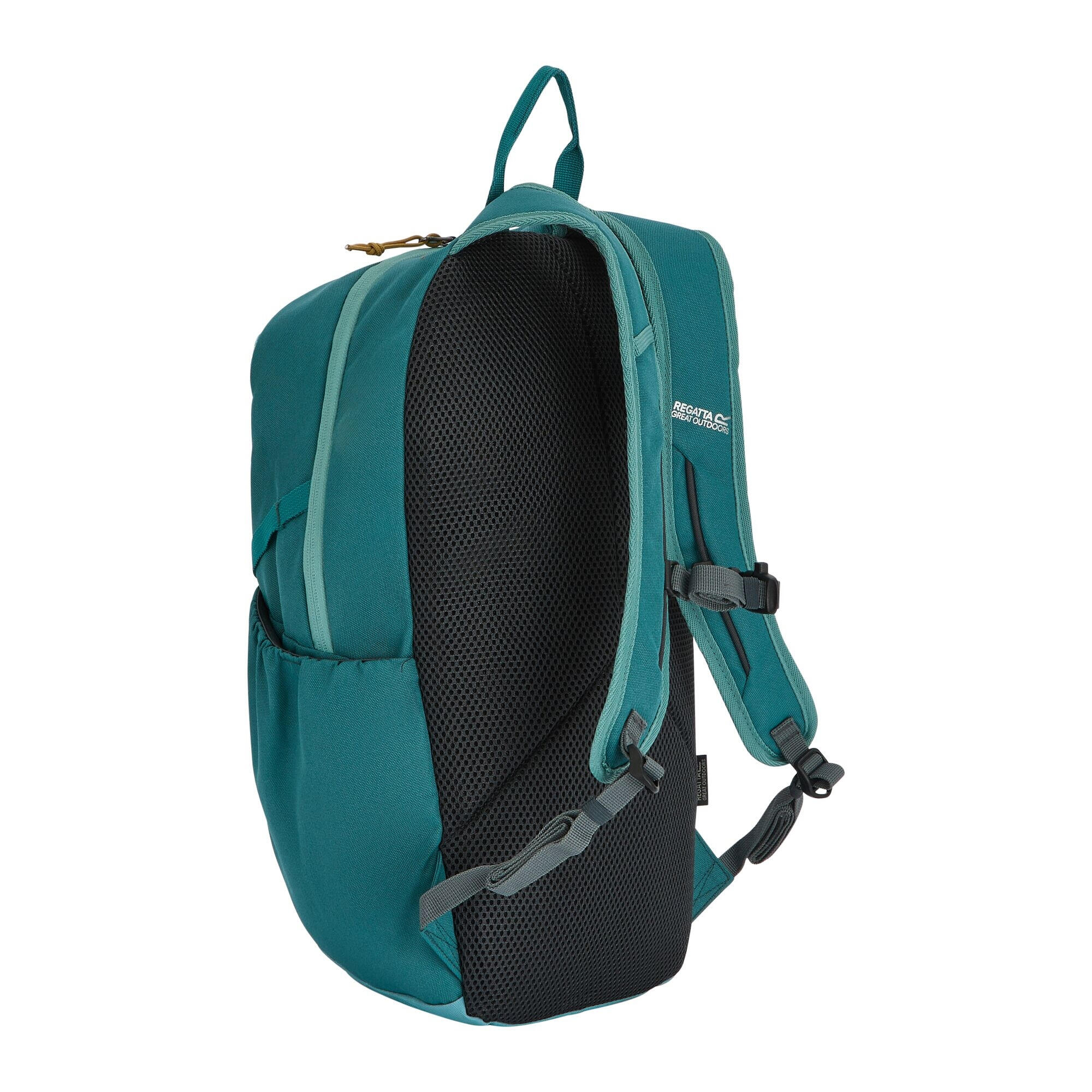"Prism" Rucksack, 20L Damen und Herren Mittelmeergrün 2/4