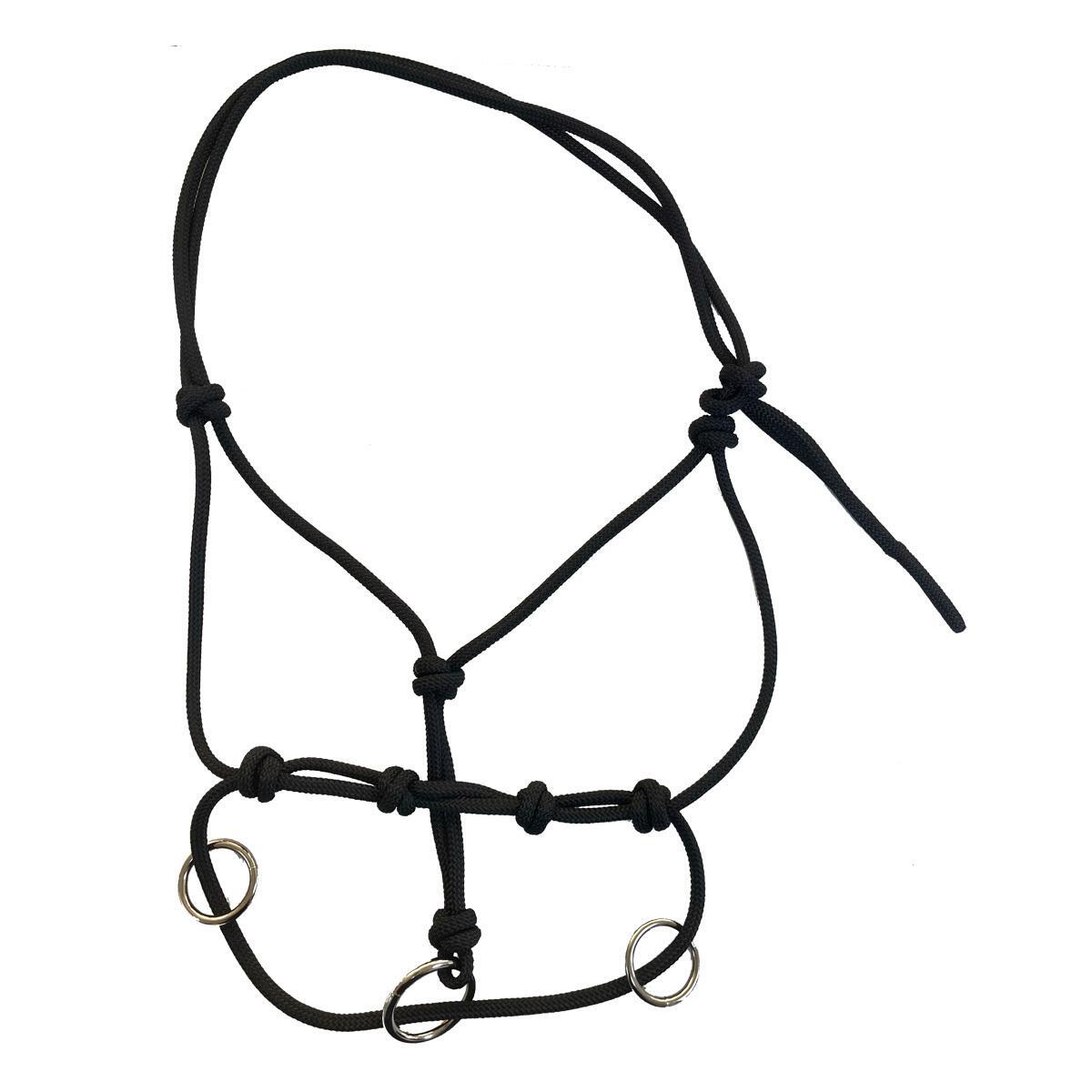 Cavezza Tattini 1/1