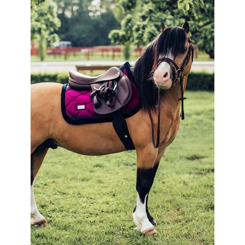 Mantilla de salto Equestrian Stockholm 2/2