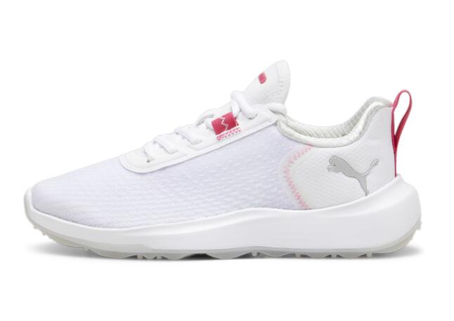PUMA picture