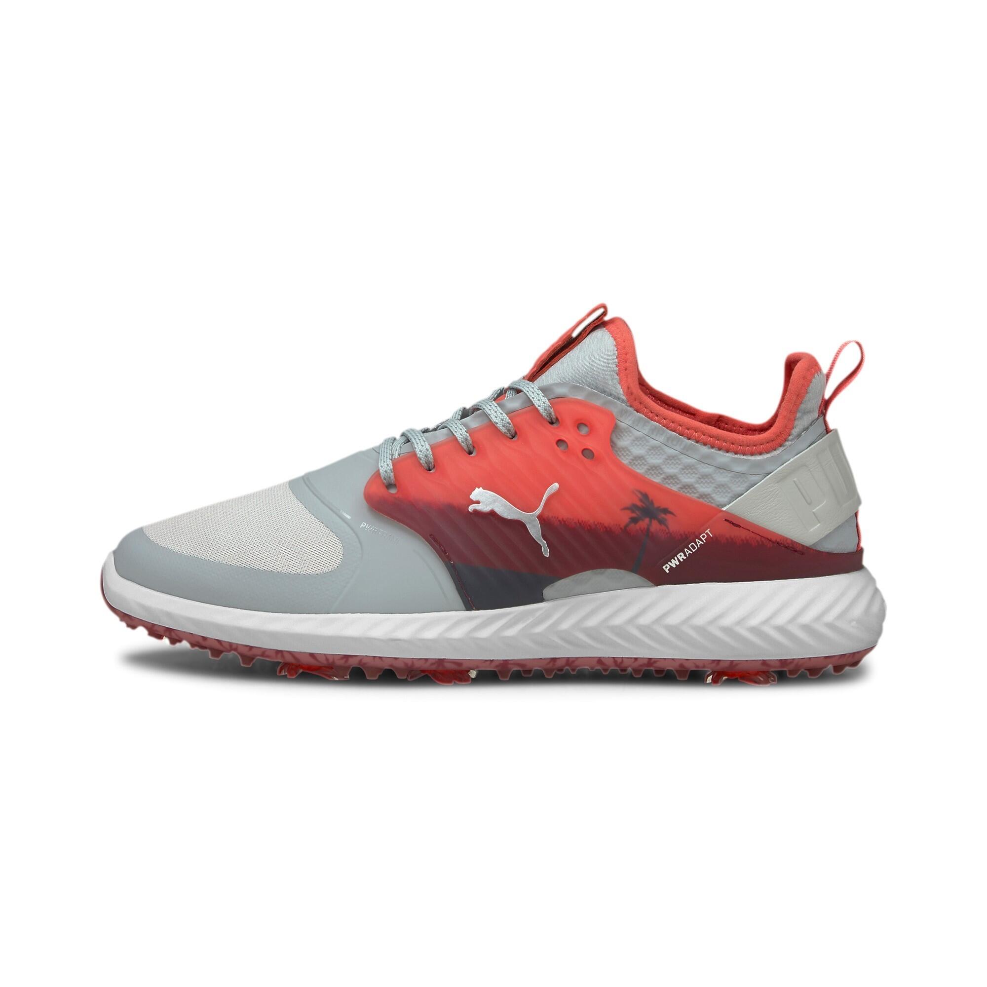 PUMA picture