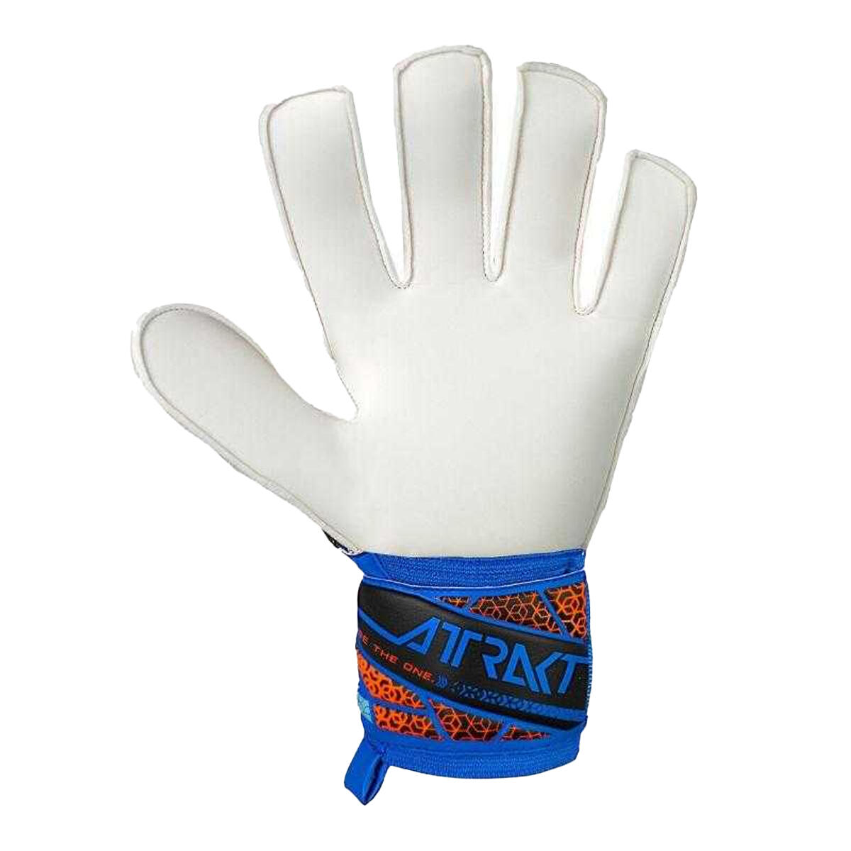 Gants De Gardien De But ATTRAKT SOLID Adulte (Noir / Bleu) 2/4