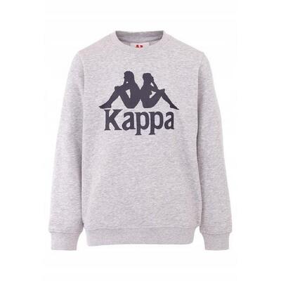 Kinder/kinder sertum sweatshirt (grijs)