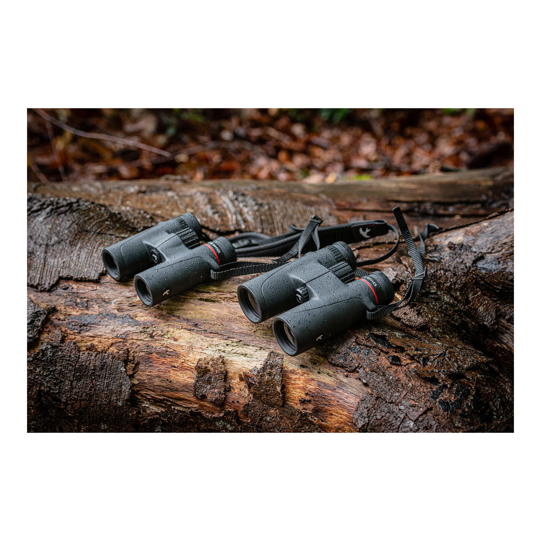 Fernglas 8x32 wasserdicht kompakt - Falco 6/7