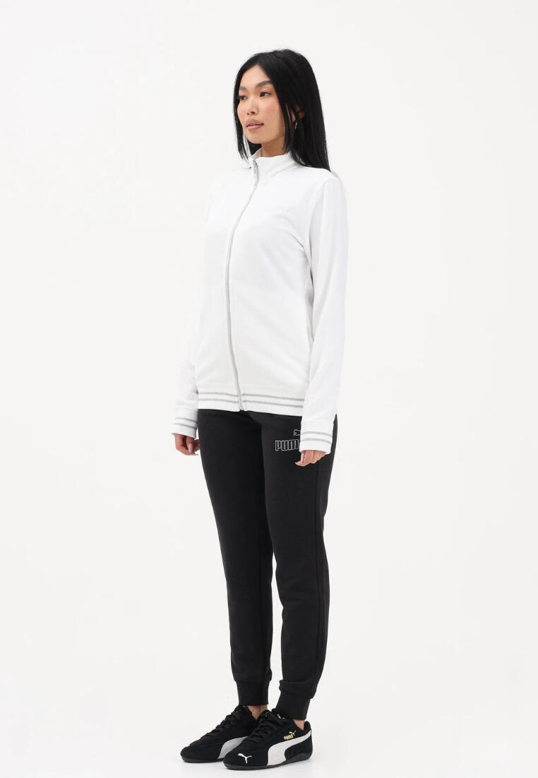 PUMA picture