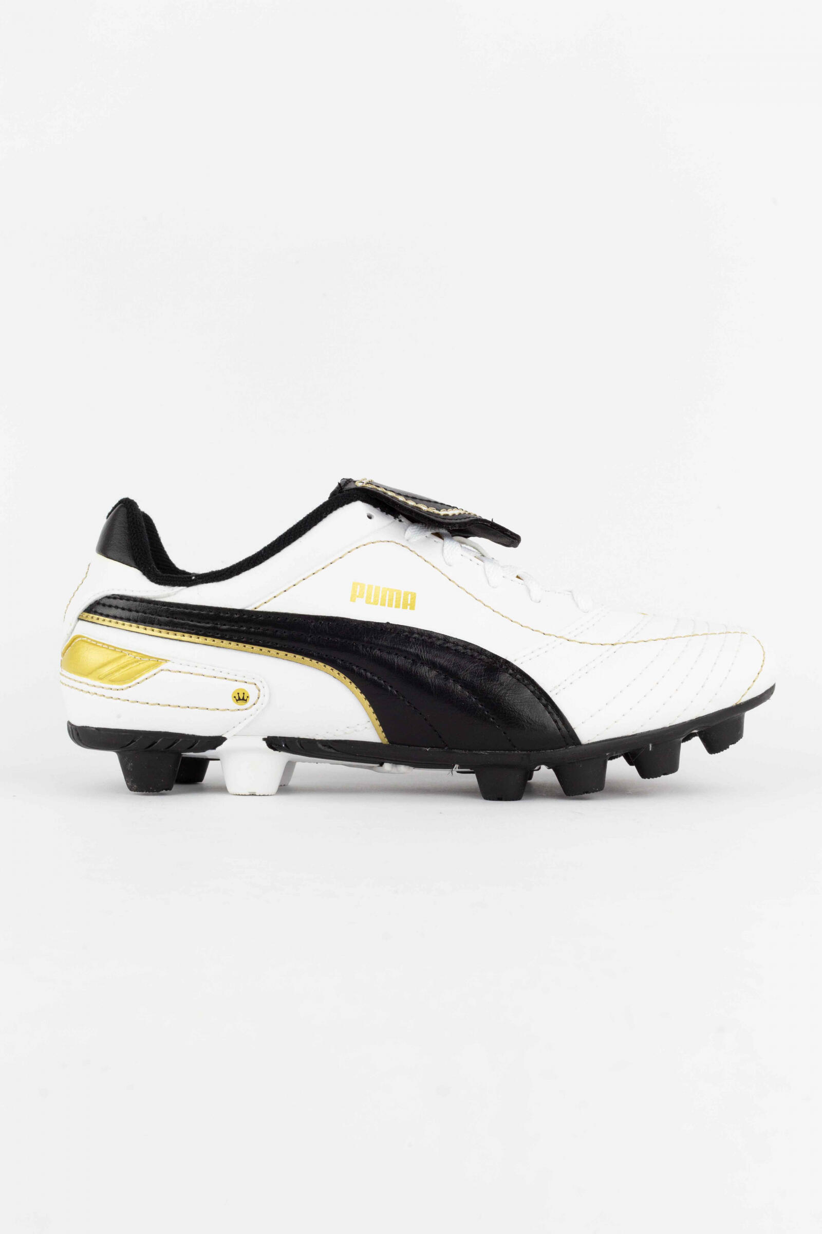 PUMA picture