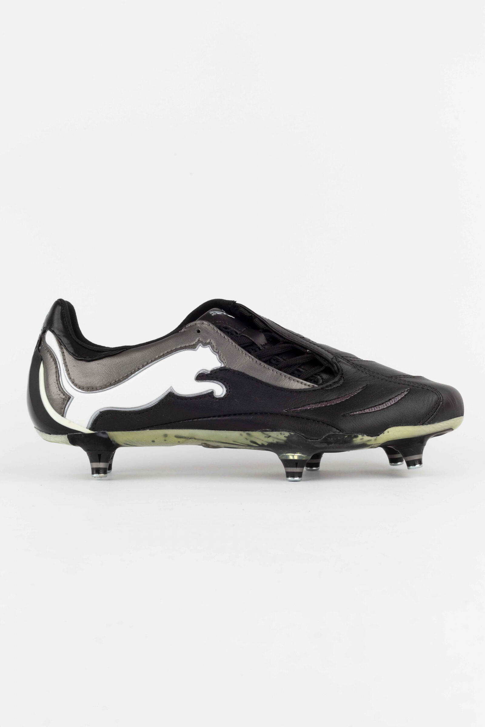 PUMA picture