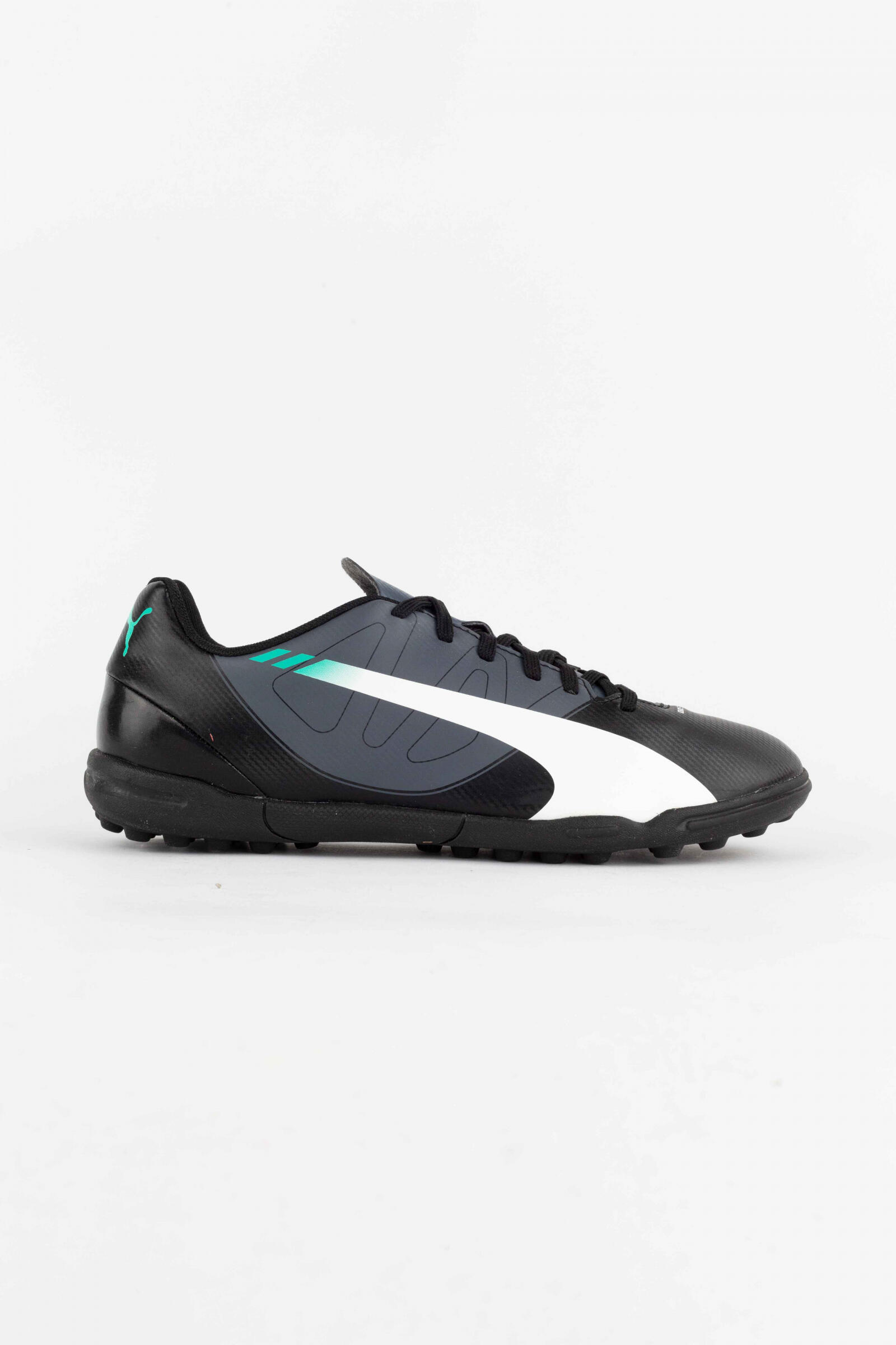 PUMA picture