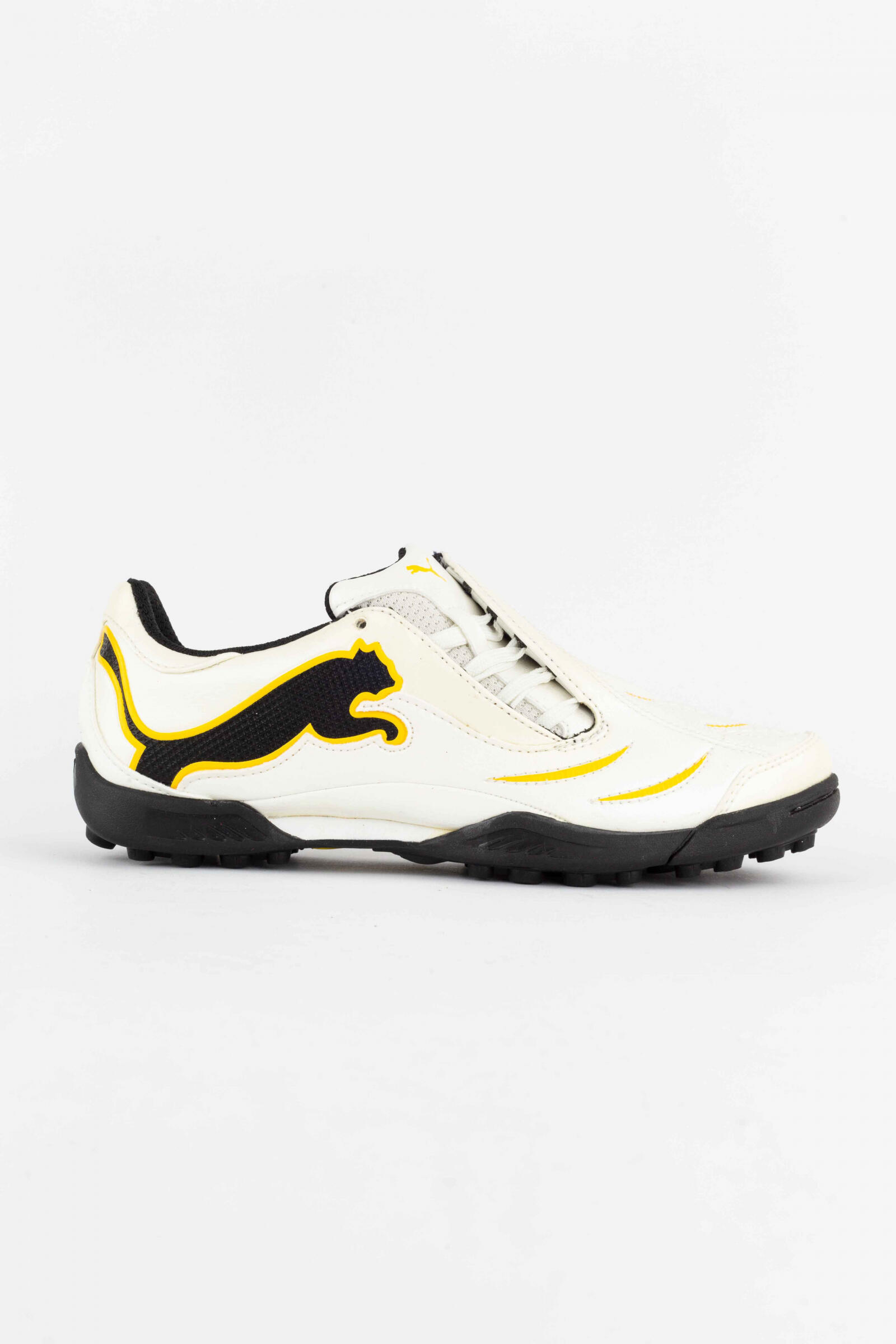 PUMA picture