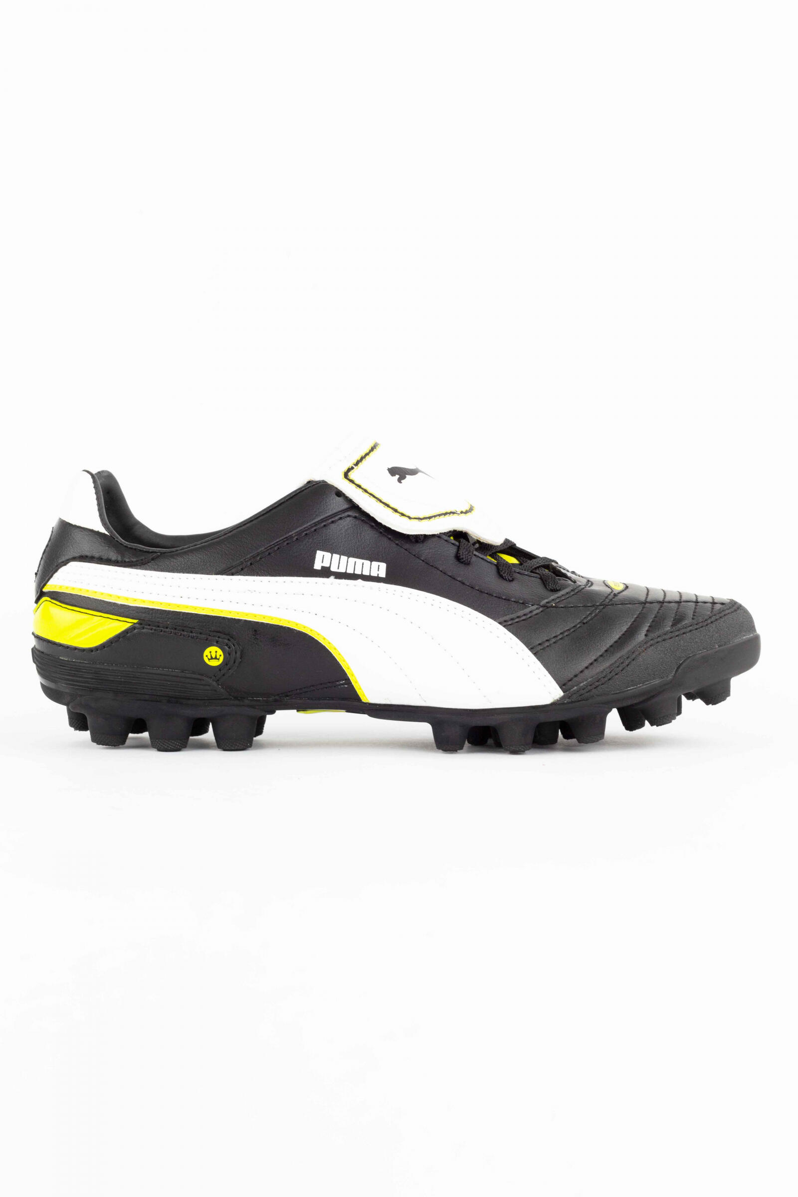PUMA picture