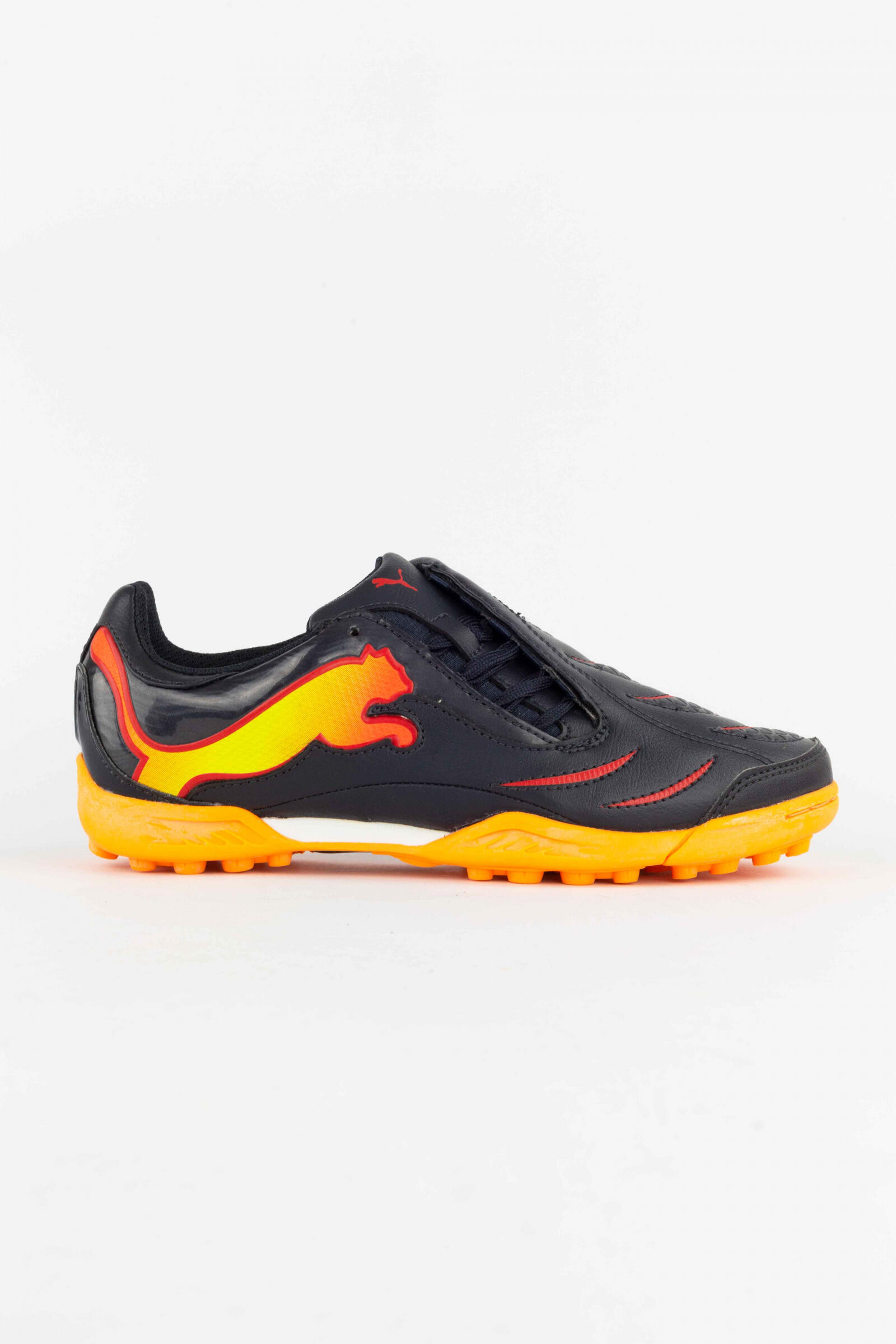 PUMA picture