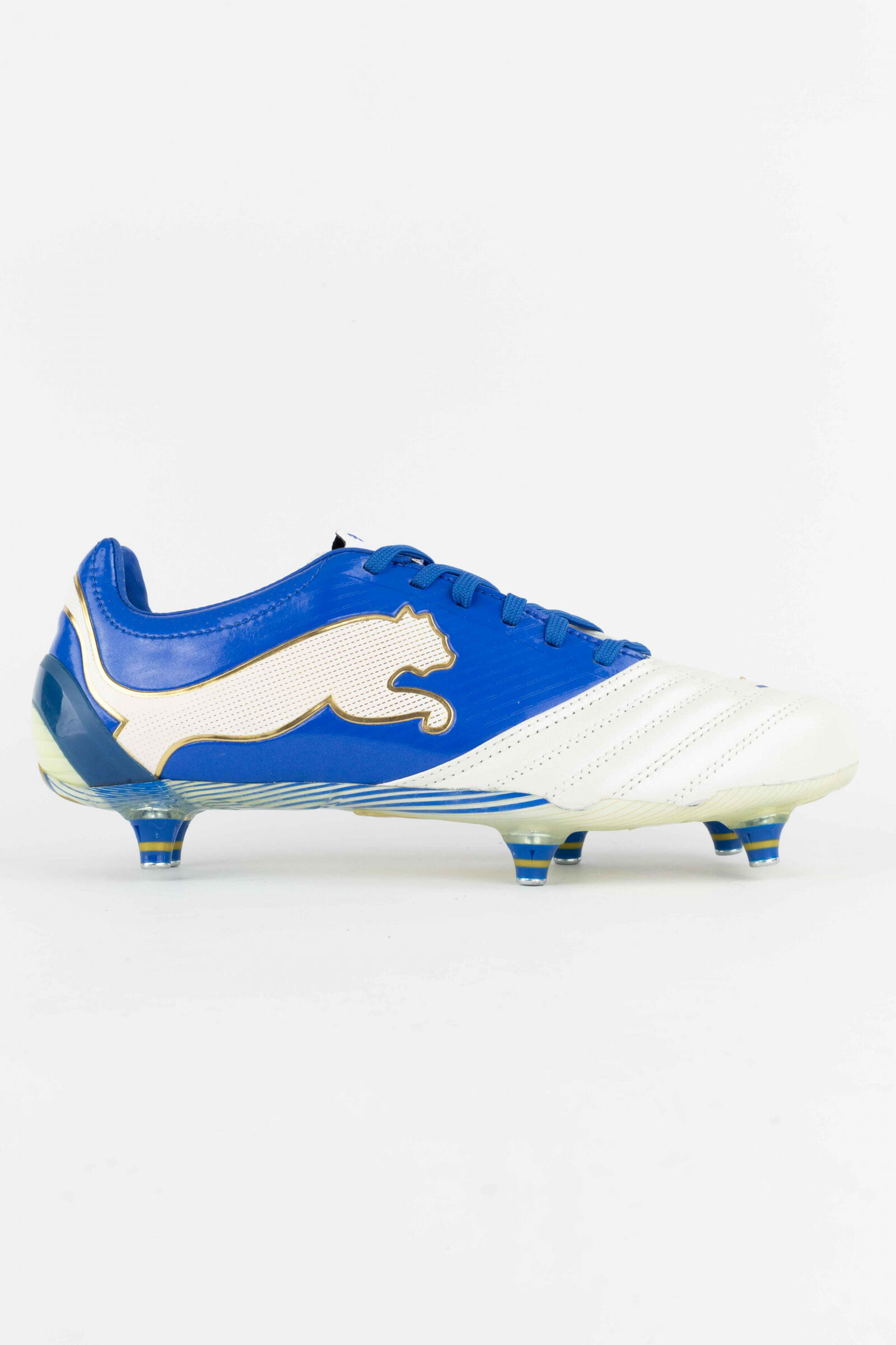 PUMA picture