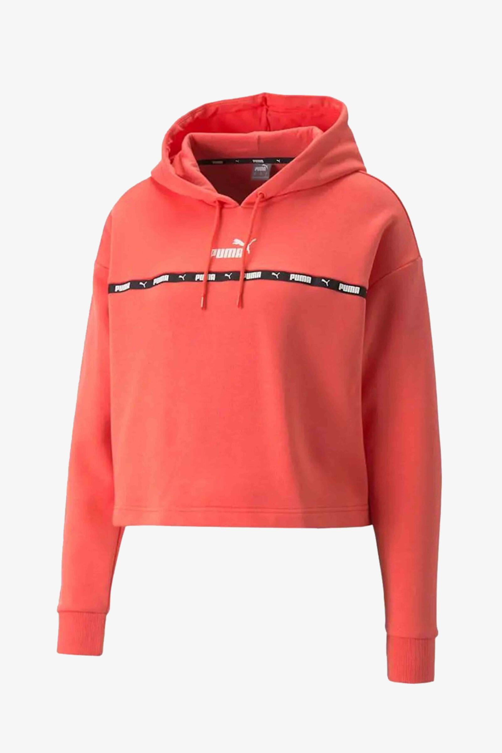 PUMA picture