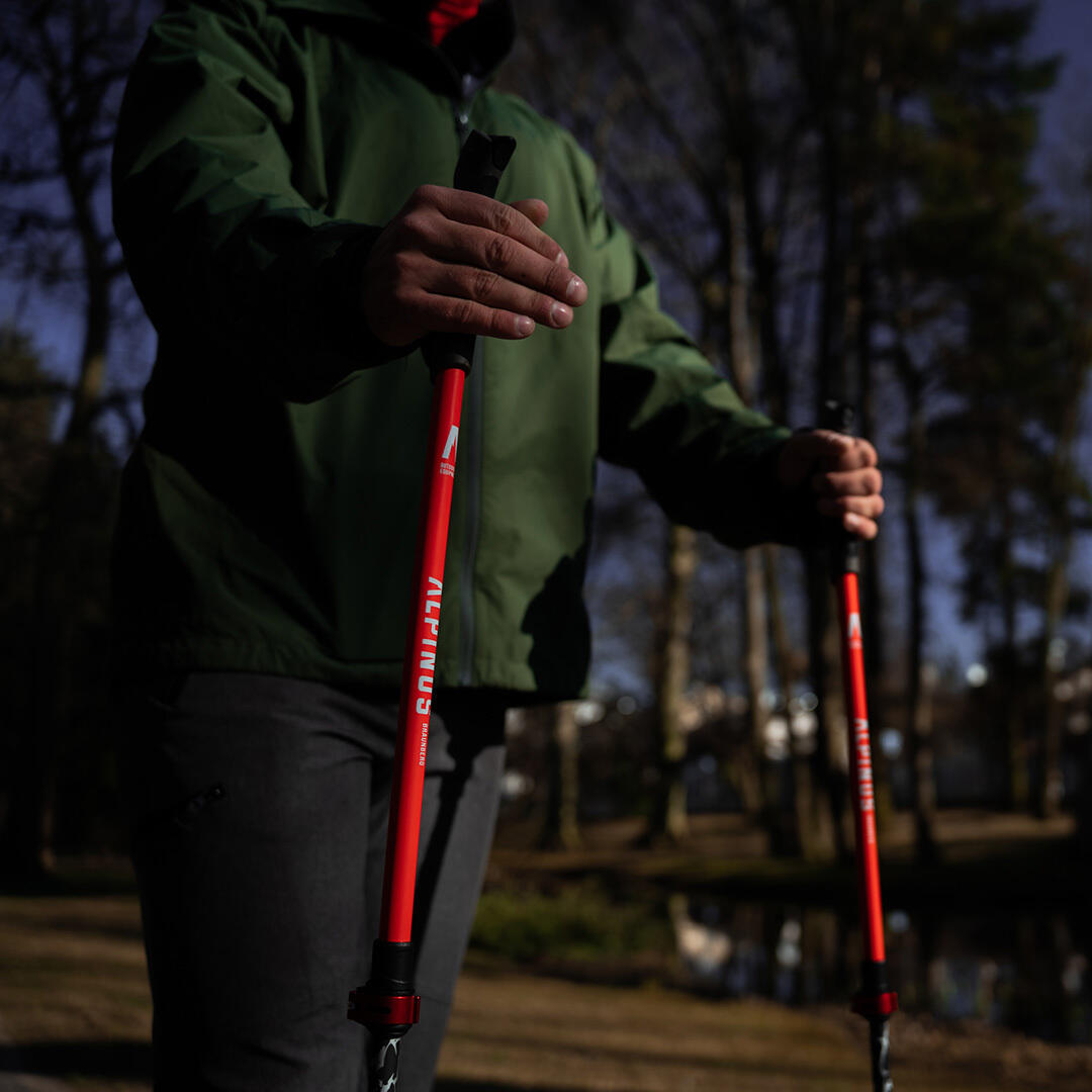 Nordic walking stokken Alpinus Braunberg 5/7