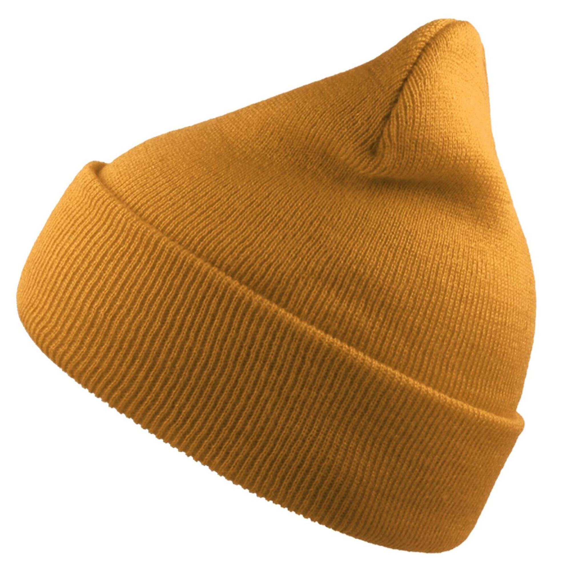 Atlantis Unisex Adult Wind Recycled Cuffed Beanie