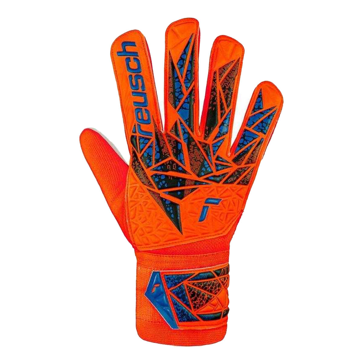 REUSCH picture