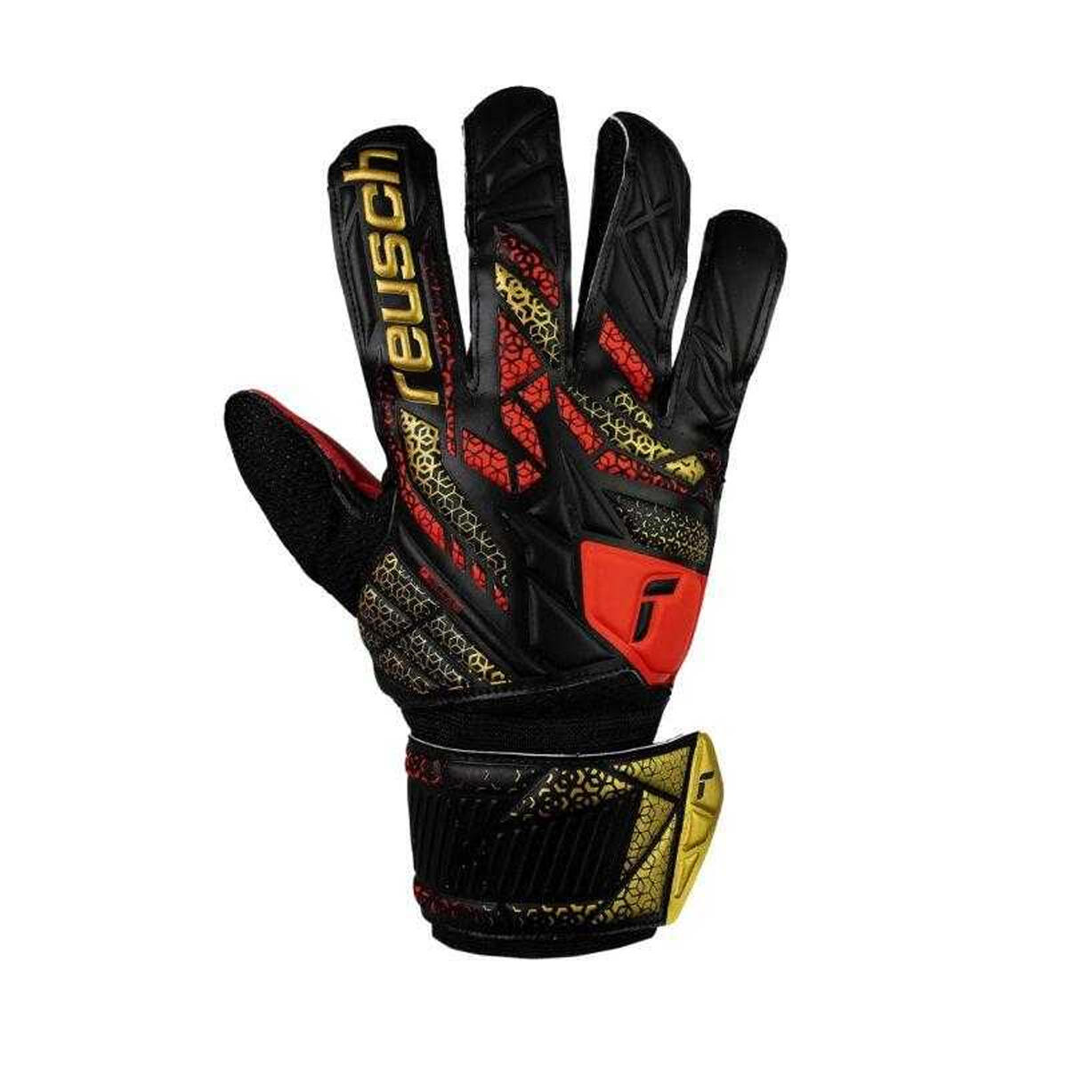 REUSCH picture