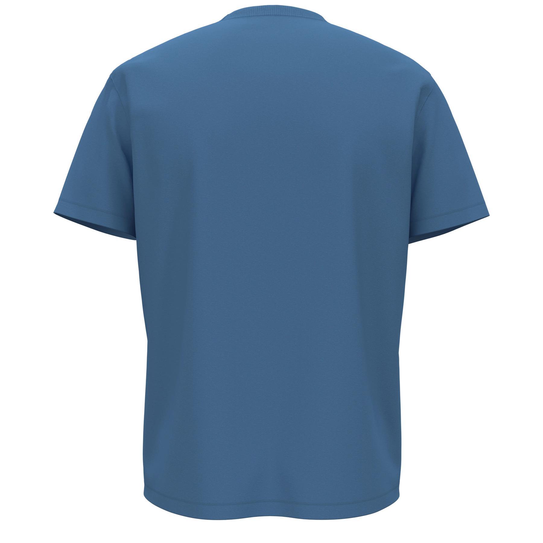 Camiseta Napapijri S-Box Logo 2/2