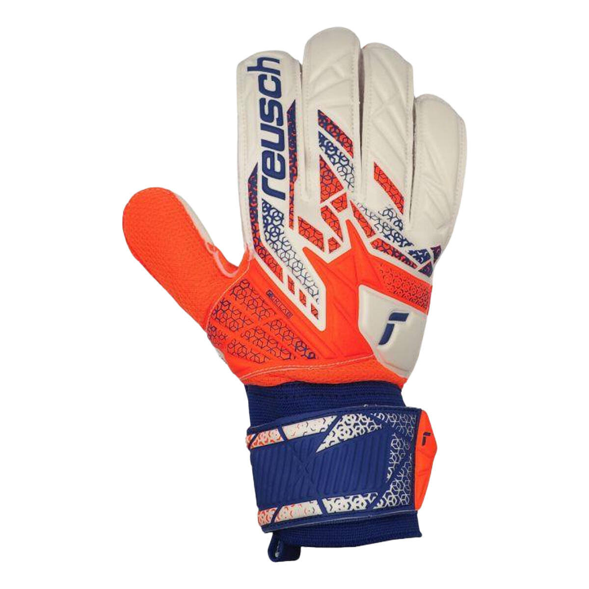REUSCH picture