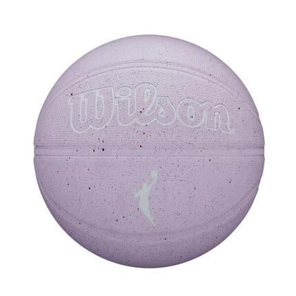 Spadkobierca NBA Outdoor Basketball