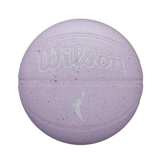 Spadkobierca NBA Outdoor Basketball