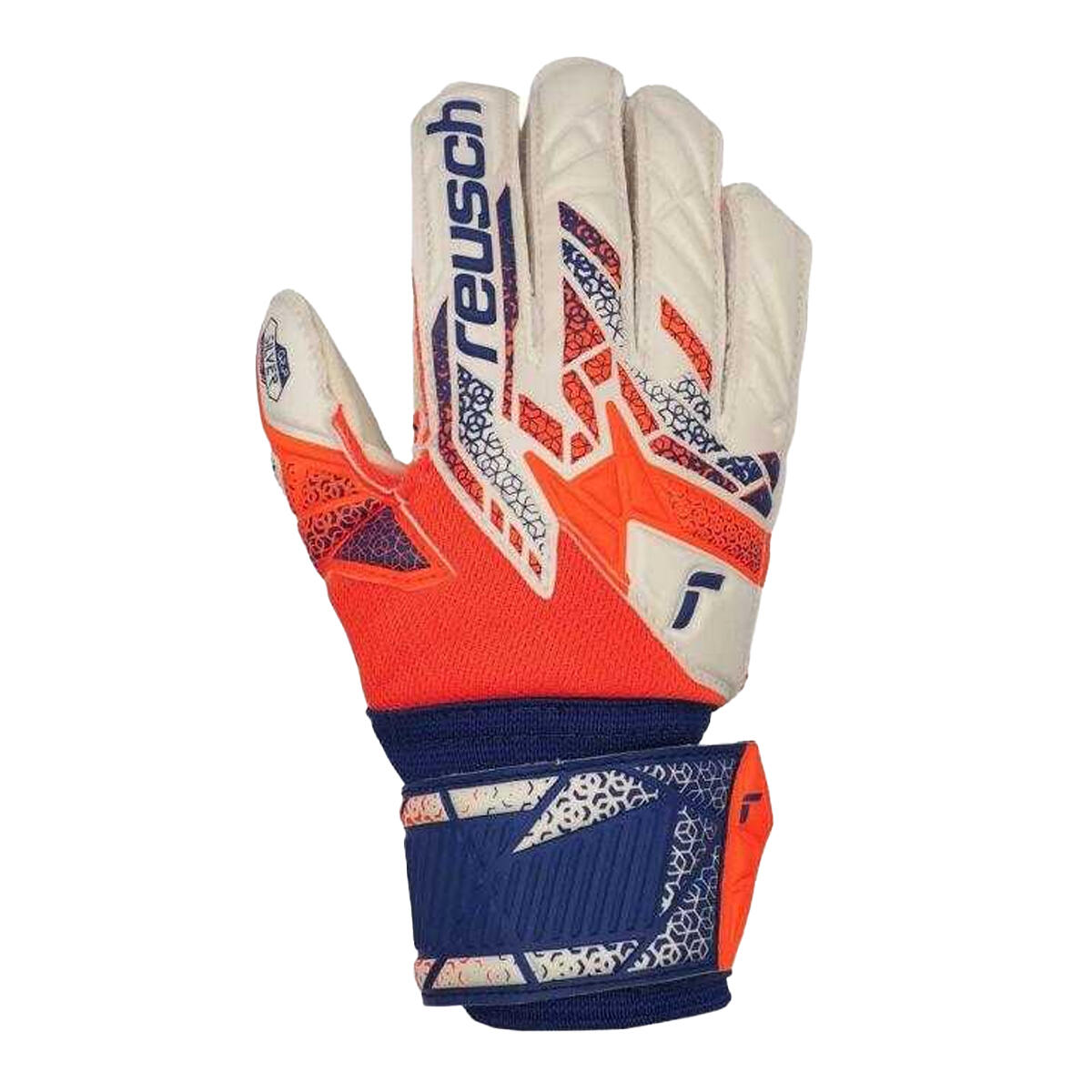 REUSCH picture