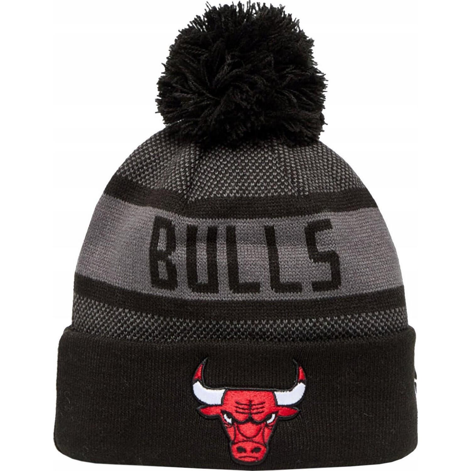 CHICAGO BULLS picture