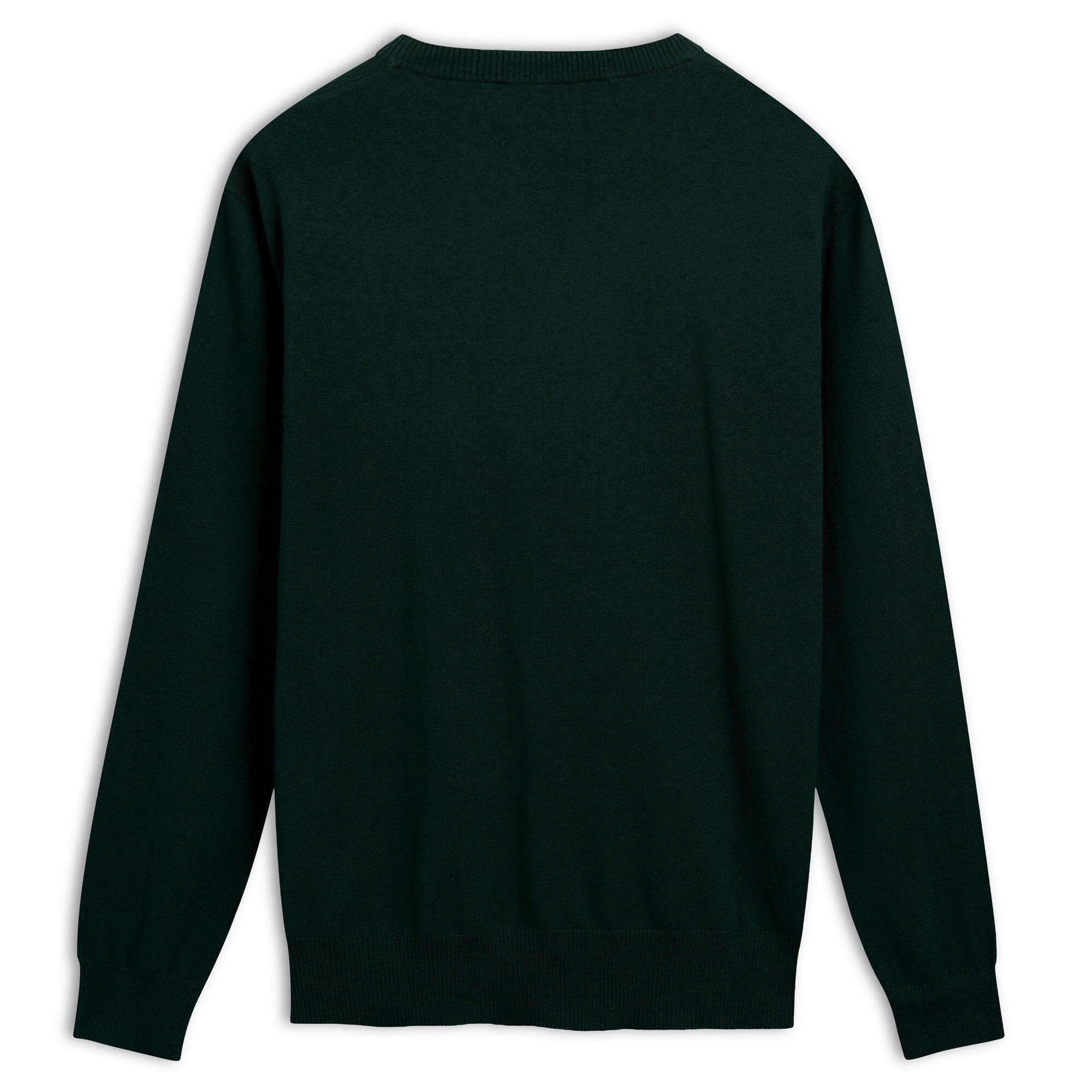 Maglione da uomo in cotone verde da lifestyle 2/3