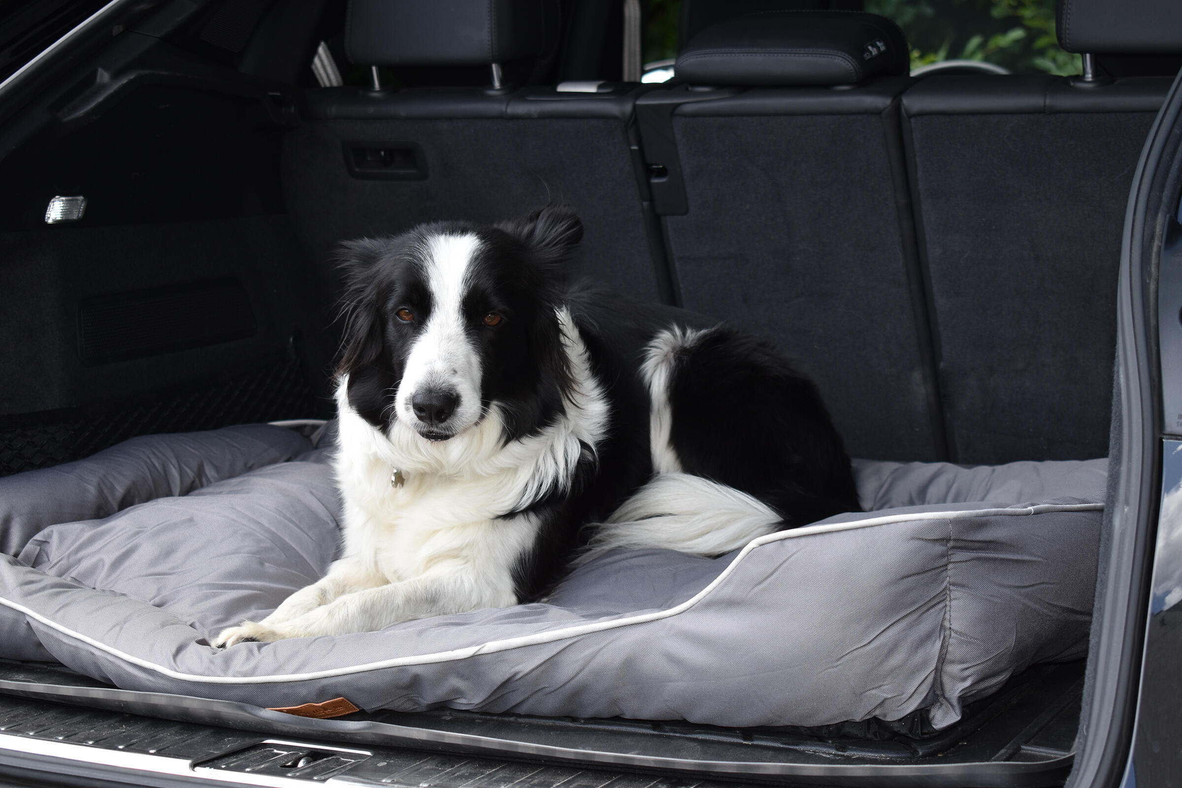 Cesta para perro tipo cama para maletero XXL 3/7