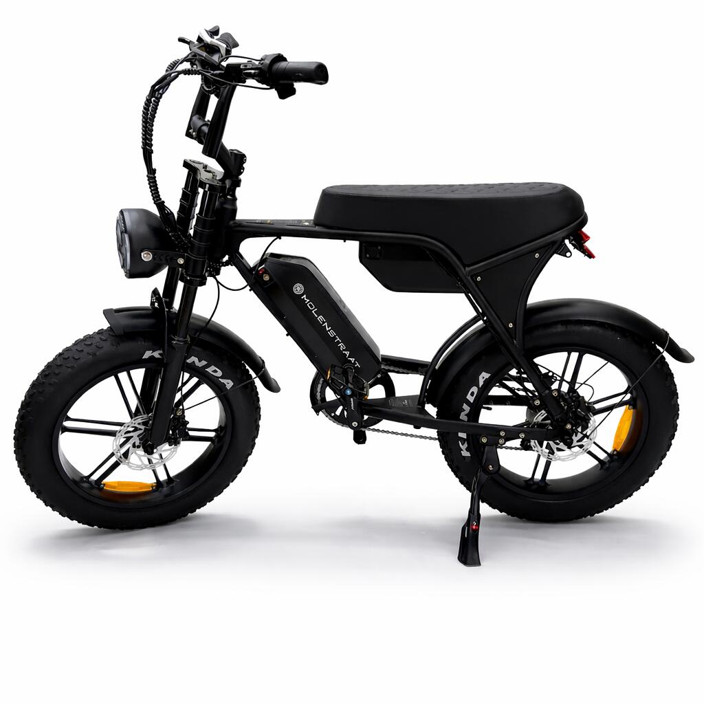 MOLENSTRAAT FATBIKES picture