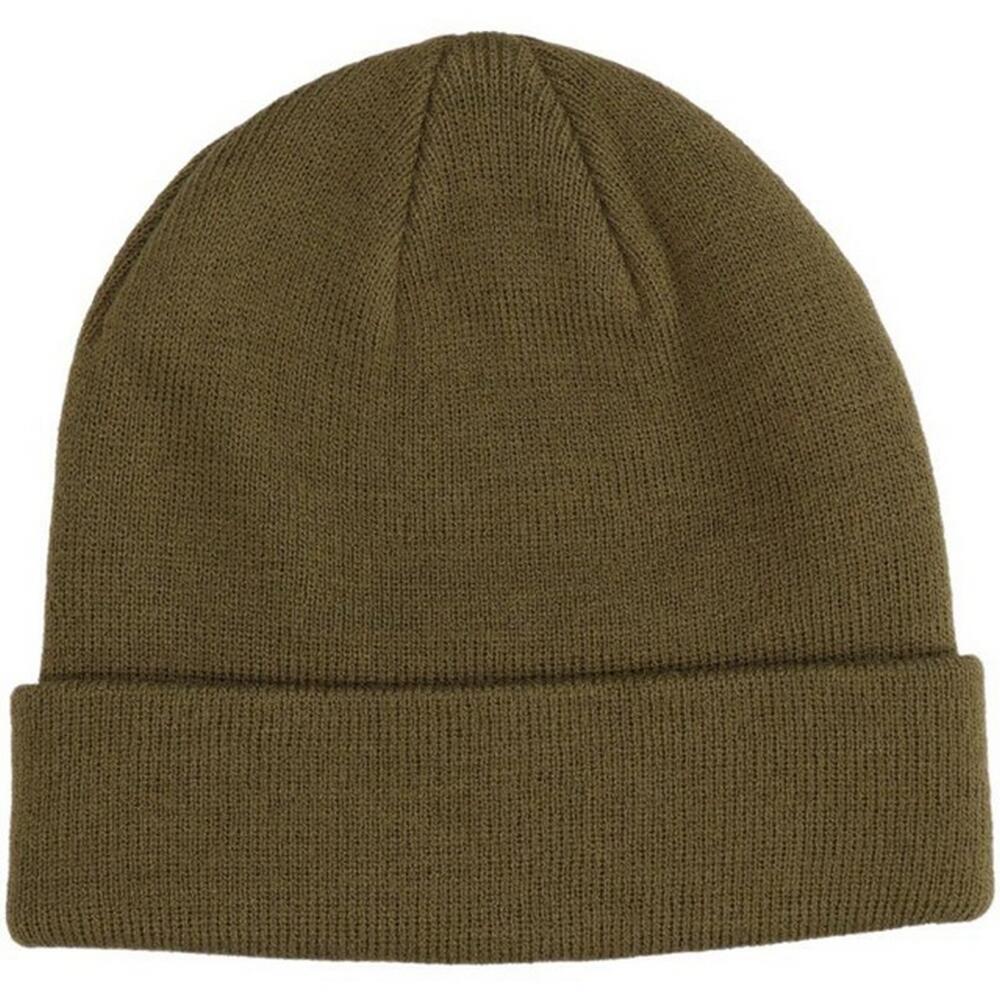 Uniseks volwassen Beanie (Groen) 2/2