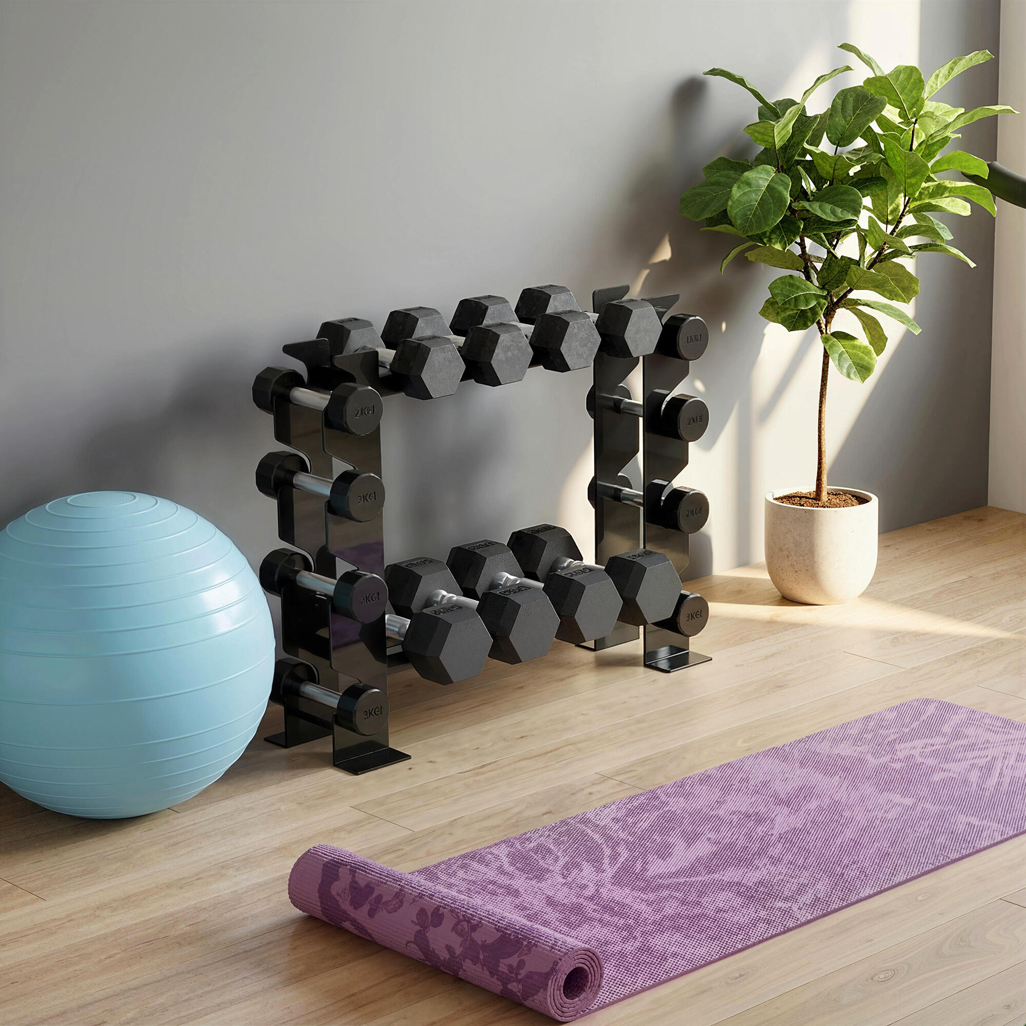 Suporte para Halteres SPORTNOW Preto 5/5