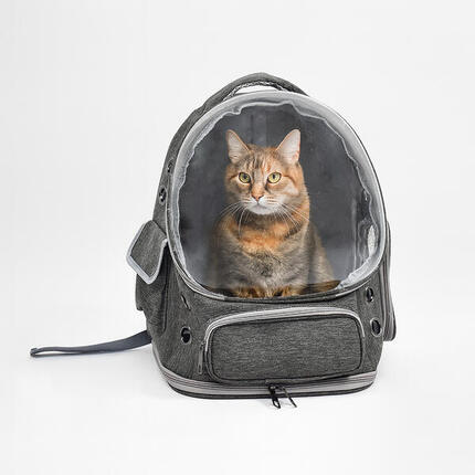 Transportrucksack mit Hund/Katzen-Blase
