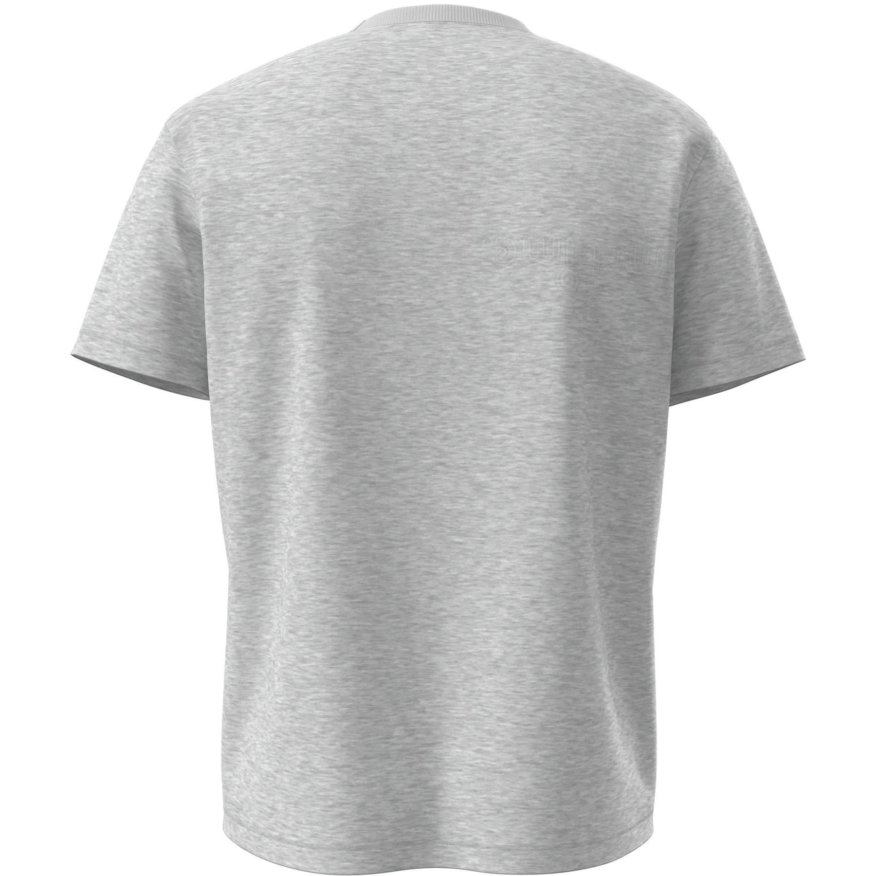 Camiseta Napapijri S-Box Logo 2/2