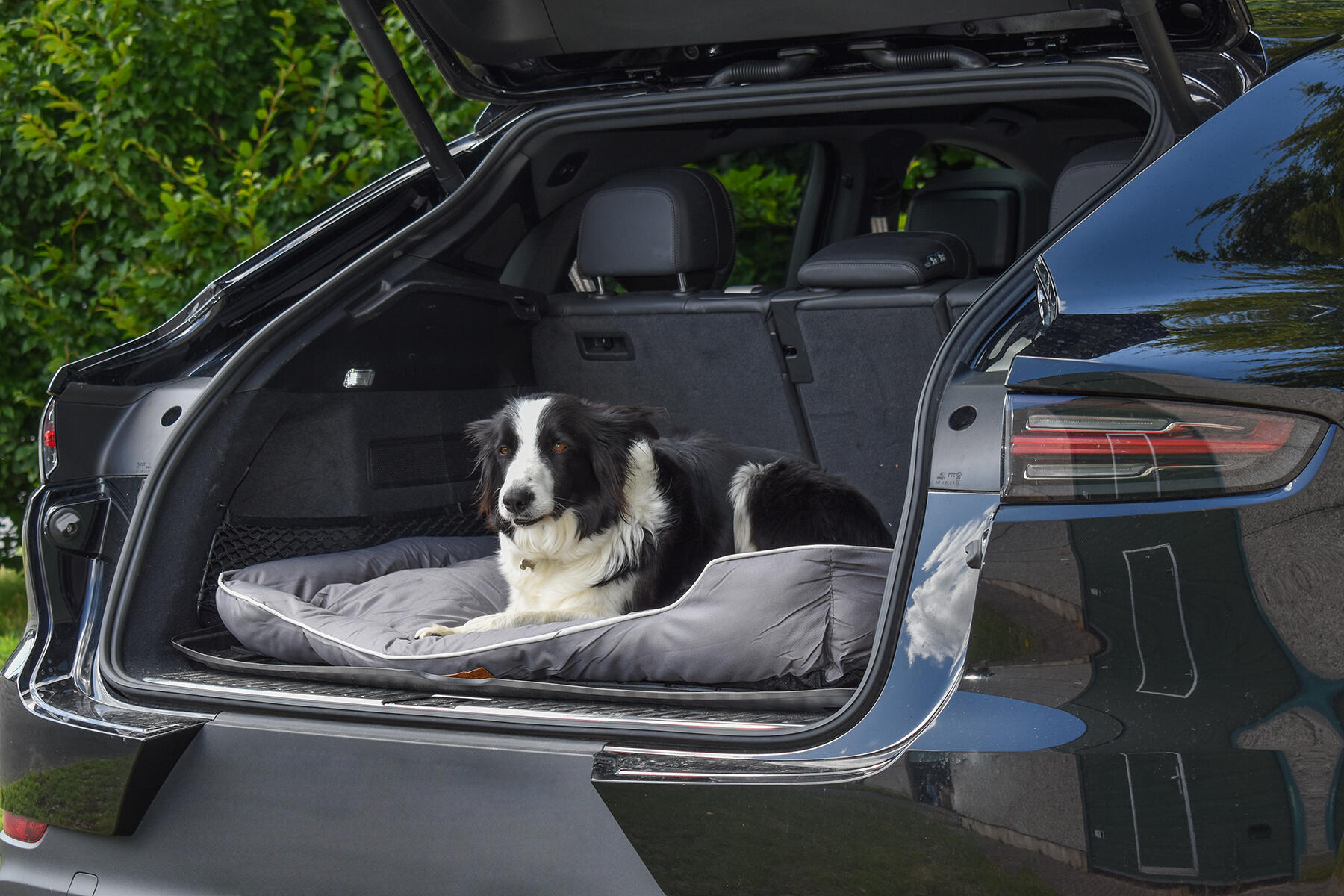 Cesta para perro tipo cama para maletero XXL 7/7