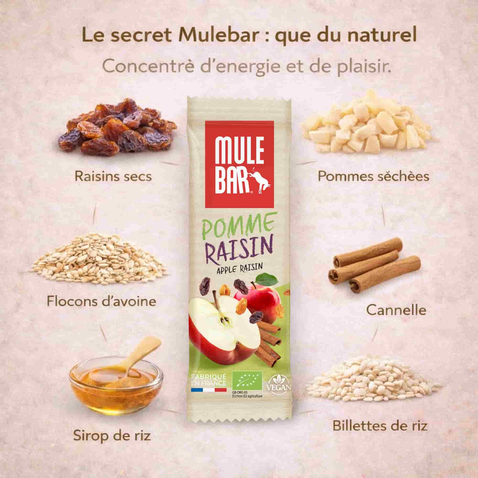 15 barres énergétiques aux céréales - bio - vegan - 40g - Pomme - Raisin 3/5