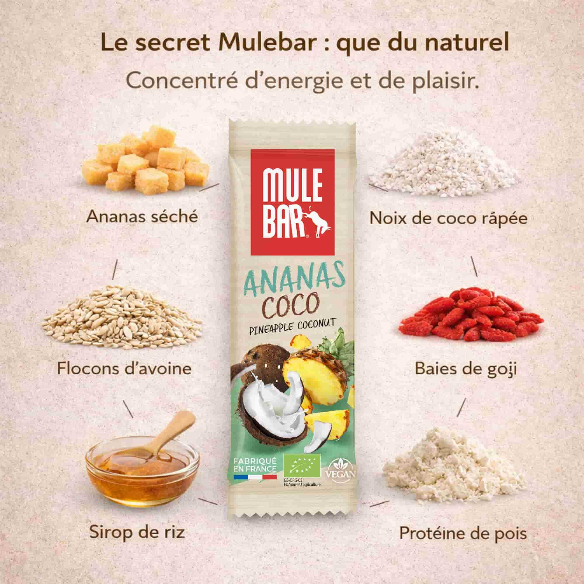 Barre énergétique aux céréales - vegan - 40g - Ananas - noix de coco - Goji 2/6